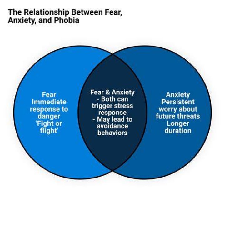 Anxiety and the Fear of Going Crazy