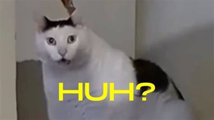 :huh: