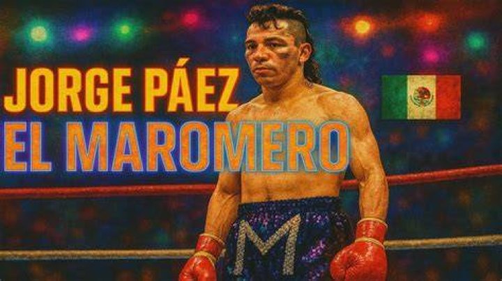 Paez El Maromero (Highlights & Knockouts) YouTube