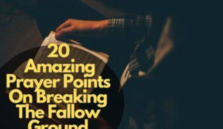 prayer points on breaking the fallow ground prayer points on breaking the fallow ground