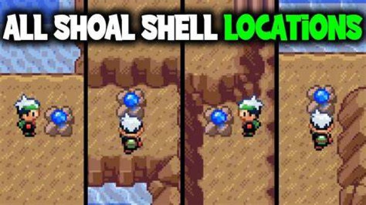 Shoal Shell